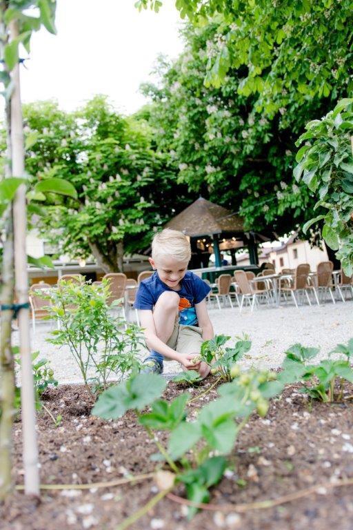 Fruehstueckspension Scharinger Hof Gilgenberg am Weilhart Екстериор снимка